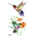 Waterproof watercolor hummingbird temporary tattoo sticker for arm, hand and neck body art. - Hummingbird Pattern (SW487) / 9.8x5.8cm
