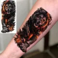 Waterproof temporary lion tattoo sticker for arm and leg, realistic fierce design body art. - Roaring Lion Style (NZ315)