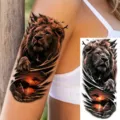 Realistic waterproof temporary lion tattoo sticker for arm and leg, durable fake tattoo art. - Male Lion Scenery Style (NZ316)