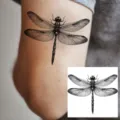 Dragonfly temporary tattoo sticker, realistic black insect arm art body decal design. - HA040 / 8x8cm