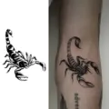 Scorpion temporary tattoo sticker for arm, dark style body art waterproof sticker design. - HA051