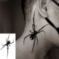 Halloween Black Spider Temporary Tattoo Sticker Animal Body Art Water Transfer Sticker - HL016 / 12x8cm