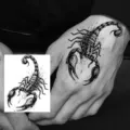Waterproof scorpion temporary tattoo sticker for arm and hand, realistic body art design. - HM091 (Scorpion)