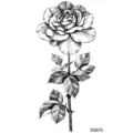 Autoadesivo del tatuaggio della rosa dello schizzo in bianco e nero per mano e collo. - SS670