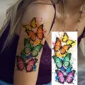 Watercolor Butterfly Temporary Tattoo Sticker Colorful Arm Body Art Variant Style - Watercolor Butterfly Style (NZ1015)