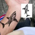 Realistic shark temporary tattoo sticker for arm, waterproof body art design for men women. - HM178 (Realistic Shark)
