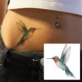 Hummingbird temporary tattoo sticker for women belly waist waterproof body art design - HA260
