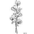 Adesivo per tatuaggio con fiori in linea nera, stile botanico minimalista ed elegante. - SS710