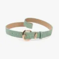 Ceinture rétro pour femme en cuir PU gaufré avec boucle dorée pour jeans et tenues - Vert
