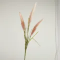 Herbe pampas artificielle 3 têtes rose fausse plante de roseau pour décoration maison et florale. - Roseau d'Automne à 3 Têtes / Café au Lait