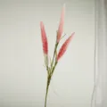 Herbe de pampas rose artificielle 3 têtes fausse plante de roseau pour déco maison. - Roseau d'Automne à 3 Têtes / Rose