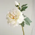 Fausse fleur de pivoine en soie blanche branche décorative pour la table de salon - Blanc