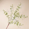 Artificial Orange Jessamine Branch Fake Flower White Floral Home Decor Variant Style - Murraya Paniculata (White)