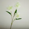 Fleur d'Allium artificielle à 3 têtes fausse chrysanthème pompon pour déco de mariage - Blanc et Vert