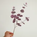 Artificial eucalyptus branch purple fake money leaves 3 forks home decor floral arrangement - 3-Fork Eucalyptus - Purple