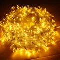 Catena luminosa LED calda per esterni interni festa di vacanza decorazione fiaba striscia - 10M 100 Lampadine Ingegneria / Bianco caldo