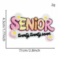 Graduation embroidered patch senior 2027 design DIY clothing accessory iron on badge - Pink Graduation Patch 7# / Pink