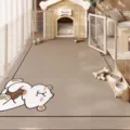 Tappeto impermeabile per animali domestici con simpatico orsetto e recinto di protezione - Paradiso Per Animali 4