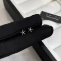 Exquisite silberne Seestern Ohrstecker Detailansicht, zarter und eleganter Schmuck für Damen. - Silber