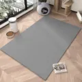 Modern minimalist solid grey pet floor mat anti-slip wear resistant diatom mud mat - 40*60cm / Lead Gray