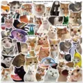 Waterproof cute funny cat stickers pack for laptop luggage phone, 50pcs meme graffiti decals - 50 Sheets