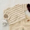 Niños Niña Primavera Otoño Camiseta A Rayas Manga Larga Casual Top De Ropa Infantil - 73cm / Rayas Caqui