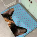 Korean style cute cat ear polka dot imitation cashmere rug for bedroom bedside and bay window. - Blue Pink Dot Cat (FDDA090303) / 60x40cm