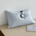 Detailed view of soft aesthetic pillow in calm blue tone, perfect cozy bedside decor accent. - Sea Salt Blue (SBZA215002) / 50x30cm (Pillowcase Only)