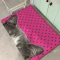 Pink polka dot plush rug soft carpet cute pet mat for bedroom living room floor decor - Pink Blue Point Cat (FDDA090307)