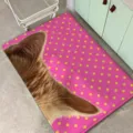 Cute pink polka dot cashmere rug with cat ears for bedroom bedside and bay window mat - Pink Yellow Dot Cat Ear (FDDA090308)