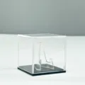 Transparente Acryl-Vitrinenbox mit schwarzem Sockel und Ständer für Ringe und Plektren staubdicht - Schwarze Basis / Einzelstück / Schwarz