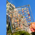 Acryl magnetische Muschel Aufbewahrungsbox Gitter transparente Nagelkunst Display Kiste DIY - 64 Gitter / Transparent
