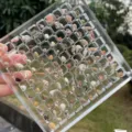 Transparente Acryl-Rasteraufbewahrungsbox gefüllt mit Miniatur-Muscheln für DIY-Nailart-Dekoration. - 100 Gitter / Transparent