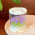 Primer plano detallado de lámpara tulipán hecha a mano en caja transparente de adorno. - 19 Tulipanes Morados Estilo Pastel