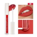 Young Vision velvet lip gloss liquid lipstick waterproof long lasting moisturizing shade 05 color - Shade 05