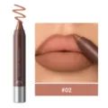 YOUNG VISION matte brown lipstick pencil #02, waterproof long lasting lip liner makeup. - 02 (Overseas Version)