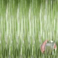 Close-up detail of green matte tinsel fringe curtain, ideal for party photo backdrop decor. - Matte Light Green