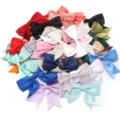 Assorted colorful satin ribbon bows close-up view, perfect for DIY crafts and gift wrapping. - 2.5cm Width (10 Pieces/Pack) / Multicolor