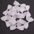 White double layer swallowtail ribbon bows detail, perfect for DIY craft and gift wrapping. - 2.5cm Width (10 Pieces/Pack) / White