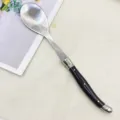 Stainless steel long handle serving spoon with black handle for western dining salad pasta - 1 Black Salad Spoon / Black
