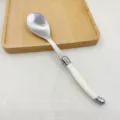 Edelstahl Esslöffel mit cremefarbenem Griff, elegantes Besteck für westliche Küche. - 1 cremeweißer Salatloeffel