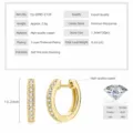 D-color moissanite hoop earrings, premium copper with 5-layer plating, elegant jewelry for women. - Single-Row Moissanite Earrings (Yellow Gold) / Gold