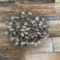 Natural pine cones bulk rustic Christmas tree decoration DIY craft ornaments dried pinecones - White-Tipped Pine Flower / 2-3cm / White and Brown