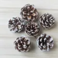 Natural frosted pine cones set of 6, 4-5cm decorative pinecones for Christmas and home decor. - White Tipped Pine Cone / 4-5cm / White and Brown