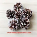 5-6cm white tipped pine cones for christmas tree decoration, natural rustic floral craft. - White Tipped Pine Cone / 5-6cm / White and Brown