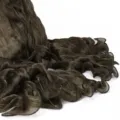 Solid color pleated gauze scarf with lettuce edge, elegant crinkle long shawl for daily. - Moss Green