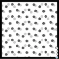 Black and white vintage rose floral print square scarf stylish design fabric pattern. - 12# Black White Shadow Rose