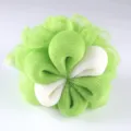 Close-up detail of green and white mesh bath sponge, soft foaming net texture for daily shower use. - Green