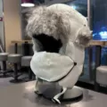 Winter thermal ushanka hat with face mask and earflaps, windproof snow cap for outdoor cycling. - One Size / Off White