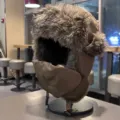 Winter thermal bomber hat with earflaps, brown windproof snow cap for cold weather cycling. - One Size / Brown